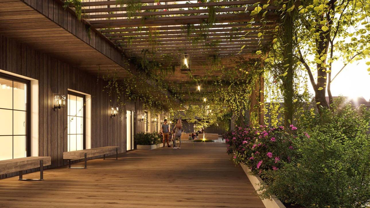 Biophilic Design