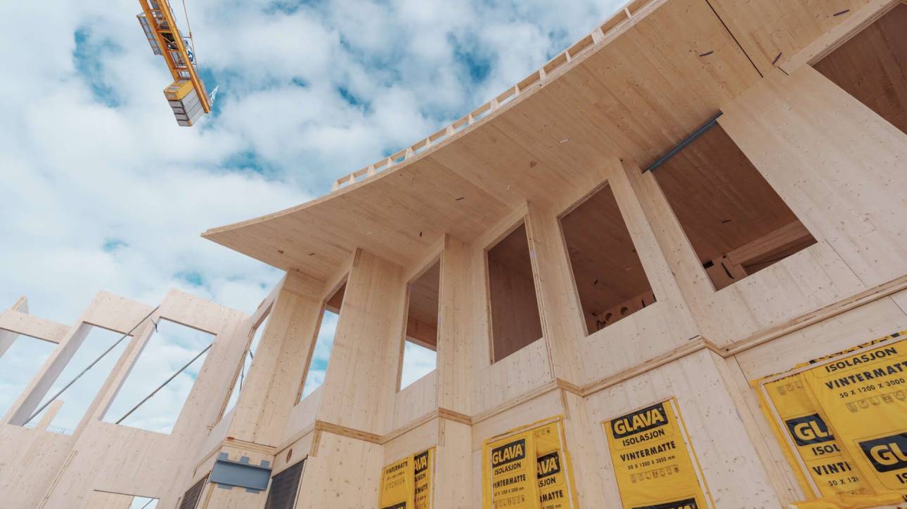 Mass timber design