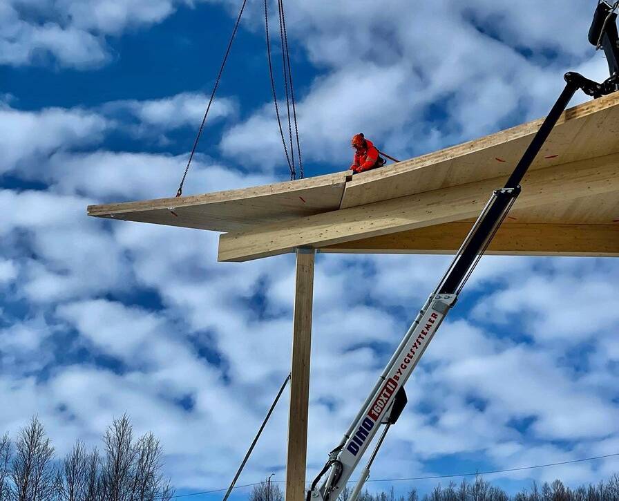 Designing with mass timber